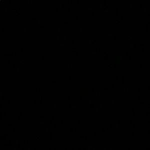 Meet your Posher, Shane